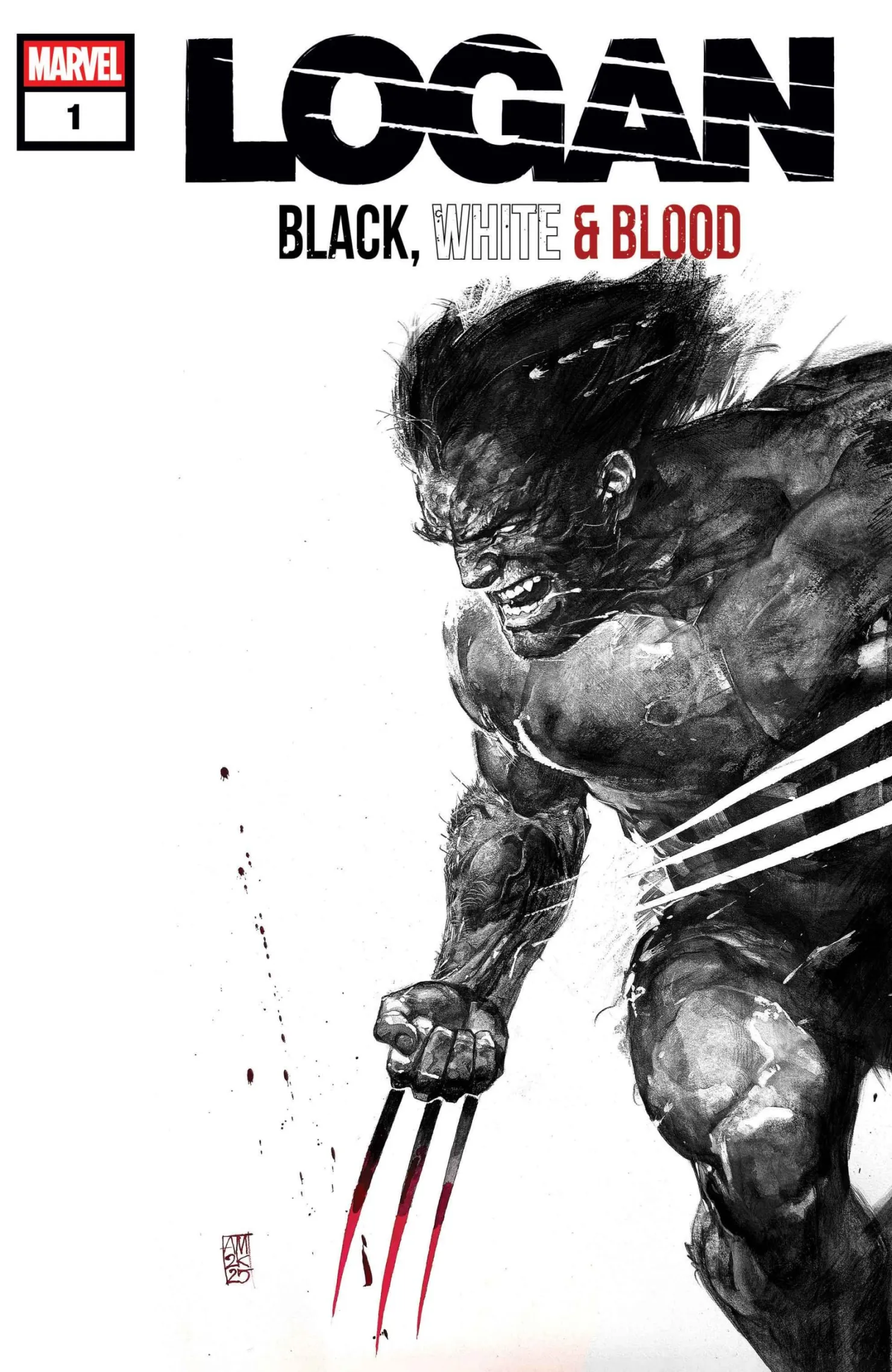 images/editeur/Arno/octobre 2025/Logan-BWB-01.webp
